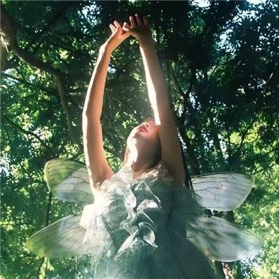 龙的新娘：龙之岛